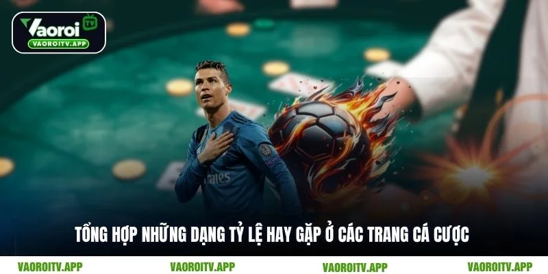 Tổng hợp những dạng tỷ lệ hay gặp ở các trang cá cược
